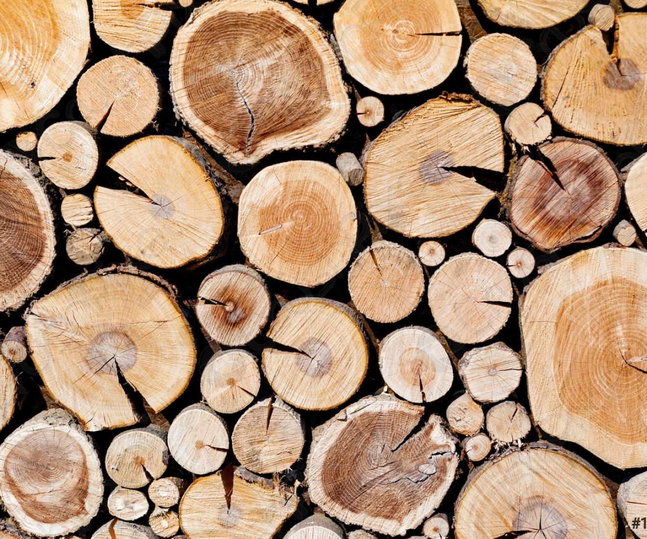 wall-stacked-wood-logs-background-1009541.jpg