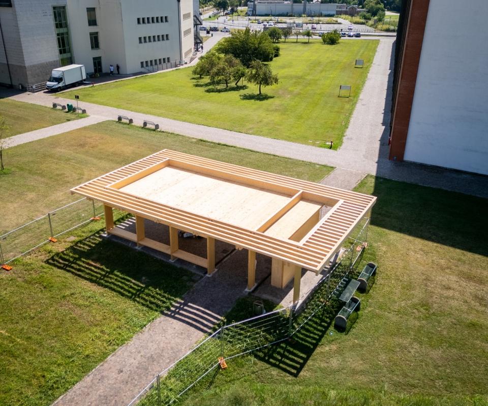 5732391DJI0161.jpg